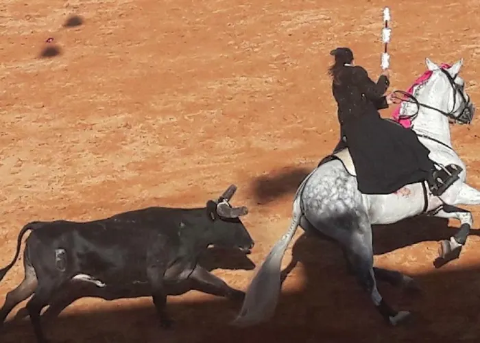 Centrally Located With Pool View Albufeira