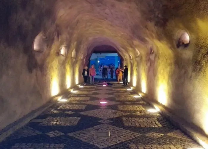 Centrally Located With Pool View