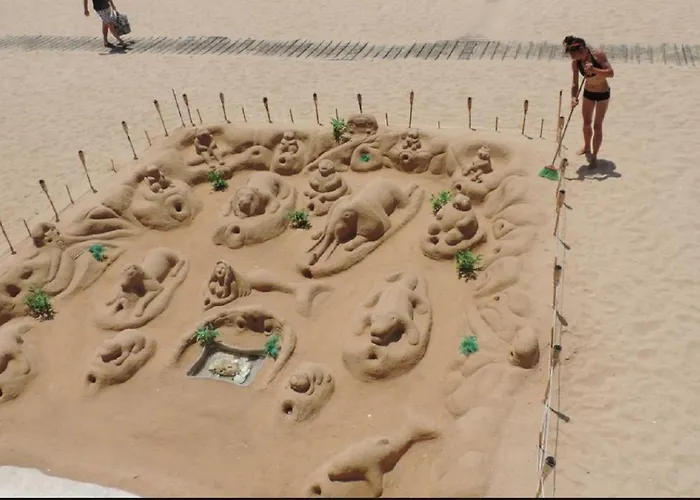 Centrally Located With Pool View Apartment