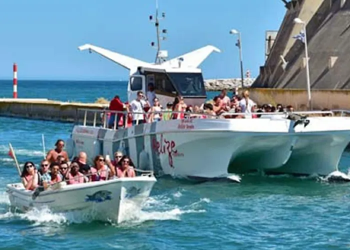 Centrally Located With Pool View Apartment