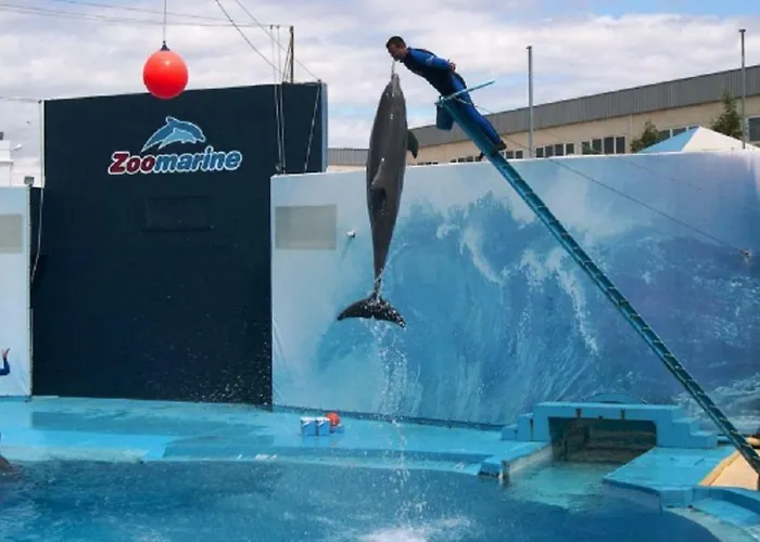 Centrally Located With Pool View